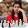 Commented chess picture